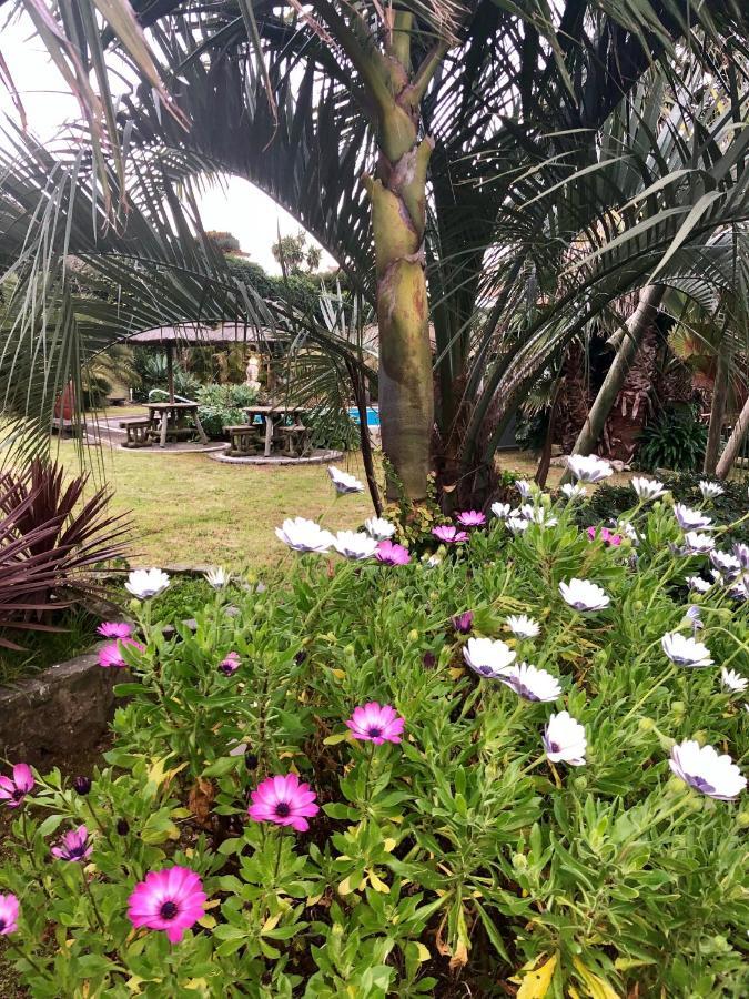 Вилла Quinta Da Bela Vista Понта-Делгада Экстерьер фото